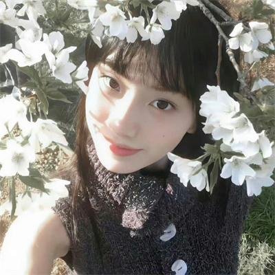 野性的邂逅粤语