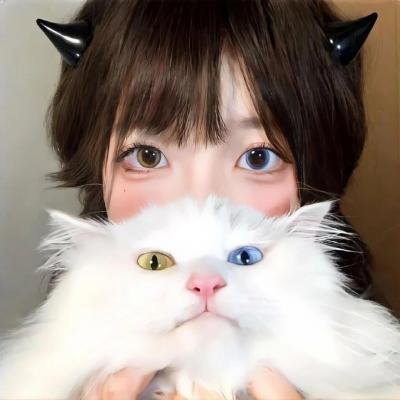 侠客行不通